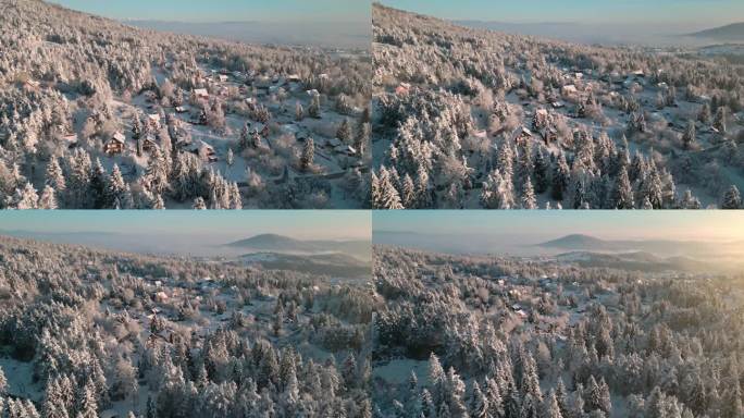 阳光普照、白雪覆盖的山村山间针叶林无人机拍摄