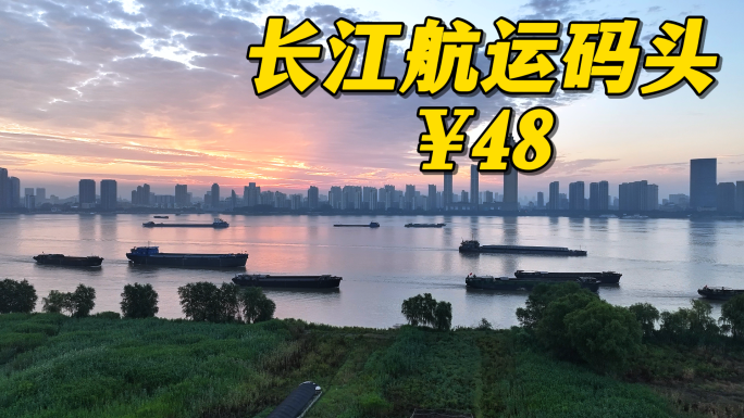 长江航运集装箱码头长三角经济带