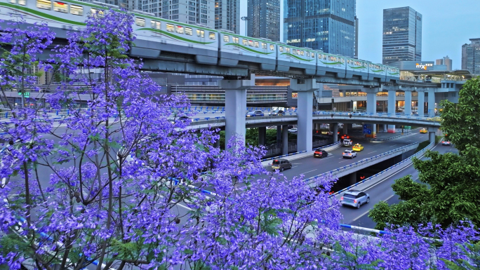 重庆城市轨道交通穿梭花海