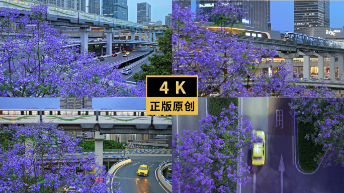 重庆城市轨道交通穿梭花海