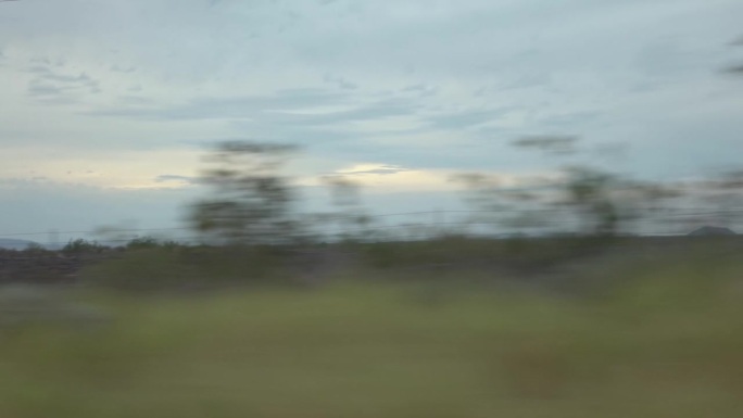 干旱景观与杜松和草在亚利桑那州的慢动作120fps