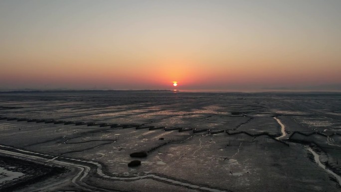 海岸日出时分的光伏太阳能发电厂鸟瞰图