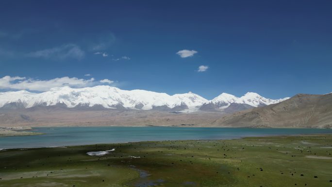 西藏雪山湖泊南疆帕米尔高原草原自驾游风景