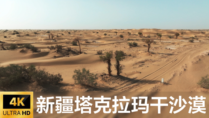 新疆塔克拉玛干沙漠