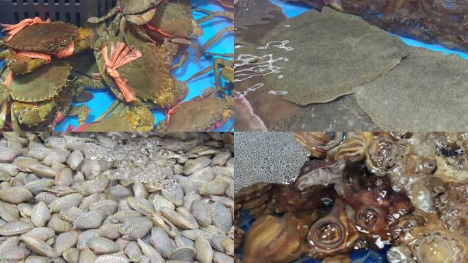 海鲜市场大杂烩贝壳鲜蚝鲍鱼龙虾螃蟹海产