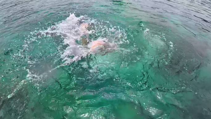 落水溺水挣扎防溺水