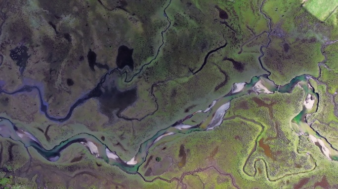 原始森林湿地风光 山间河流自然景观