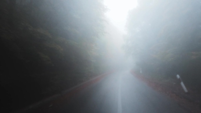 汽车在雾蒙蒙的森林中行驶，能见度低，道路湿滑