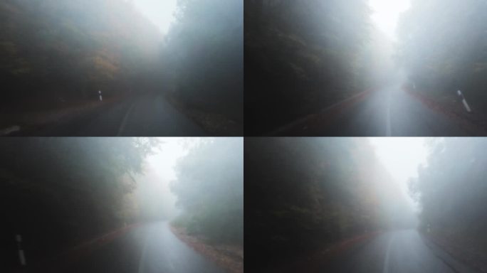 汽车在雾蒙蒙的森林中行驶，能见度低，道路湿滑