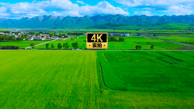 4K 祁连山绿色田野风光 21组镜头航拍