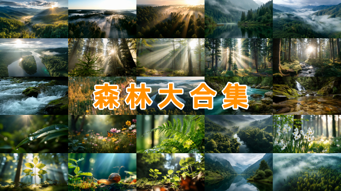 丛林森林大合集