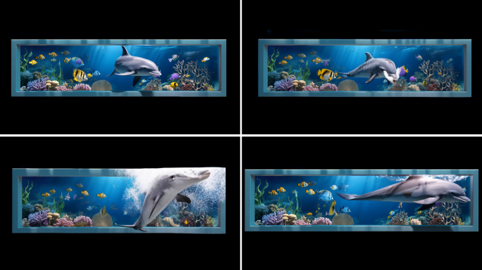 海洋裸眼3D水族箱中的海洋生物海底世界