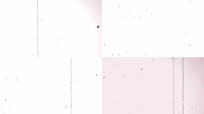 动画的老电影与垂直条纹和噪音