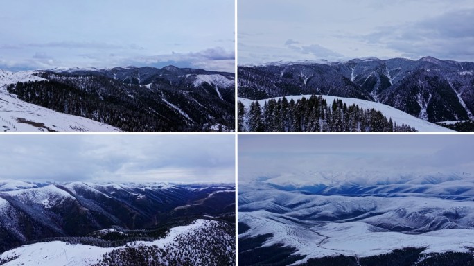 冬季雪山森林航拍