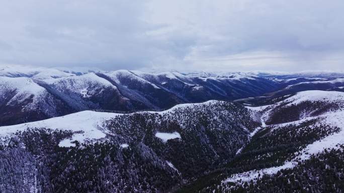 冬季雪山森林航拍