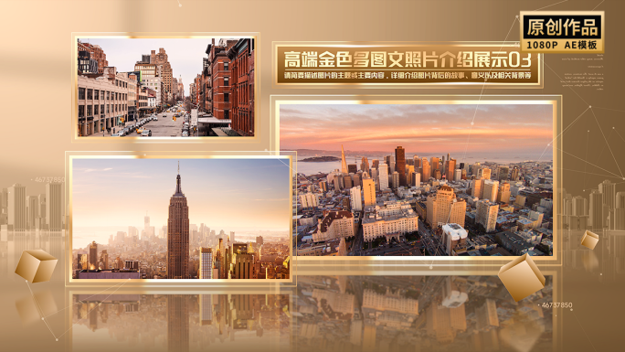 高端金色多图文照片图片展示