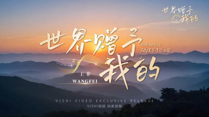 唯美mv世界赠予我的唱词