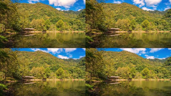 四川天全喇叭河 湖光山色自然美景山林风光