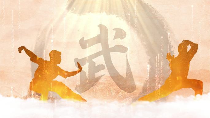 难念的经通用中国功夫武术传承
