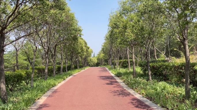 林间红色跑道