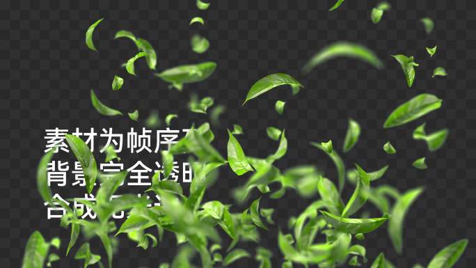 清新绿叶上升