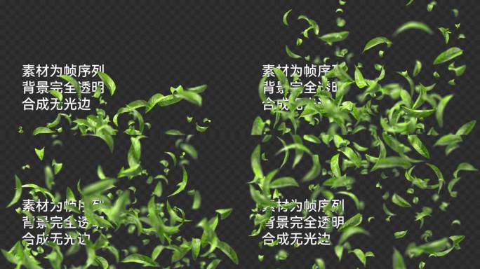 清新绿叶上升