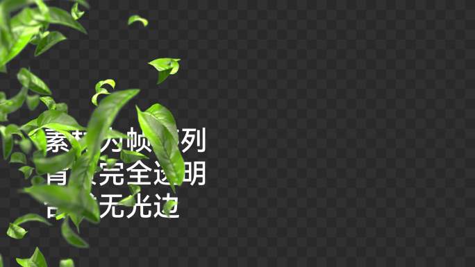 清新绿叶飘落