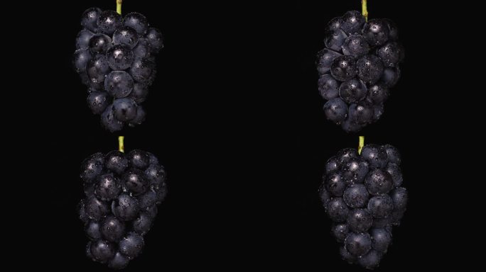 大葡萄悬挂和旋转的4K视频。