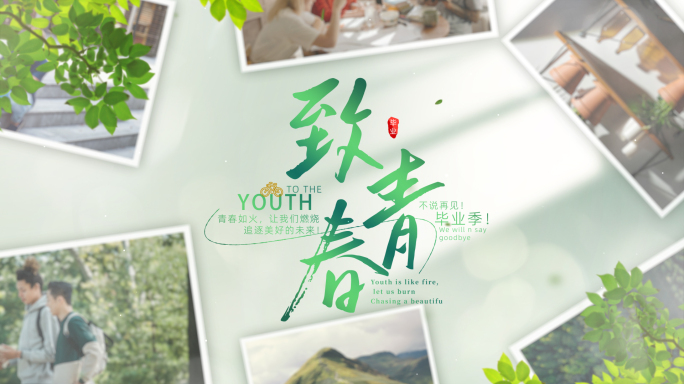 无插件）唯美清新业季相册青春校园多图照片
