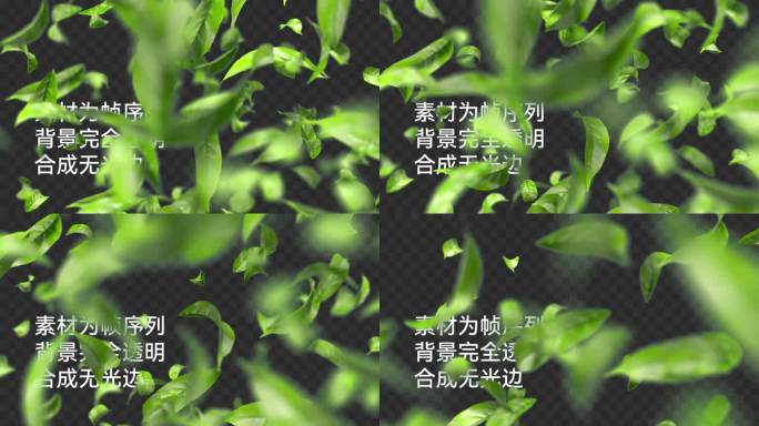 清新绿叶动态元素