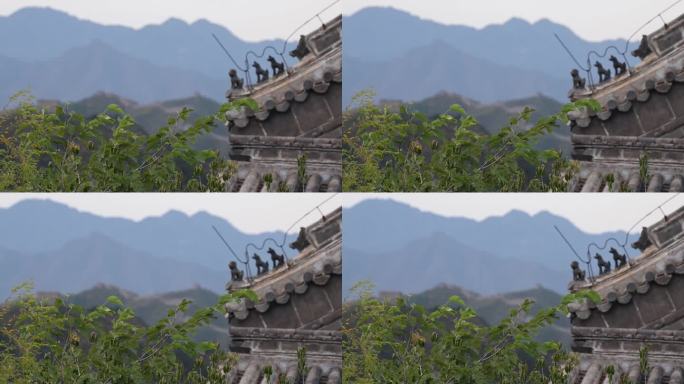 金山岭长城古建筑风光