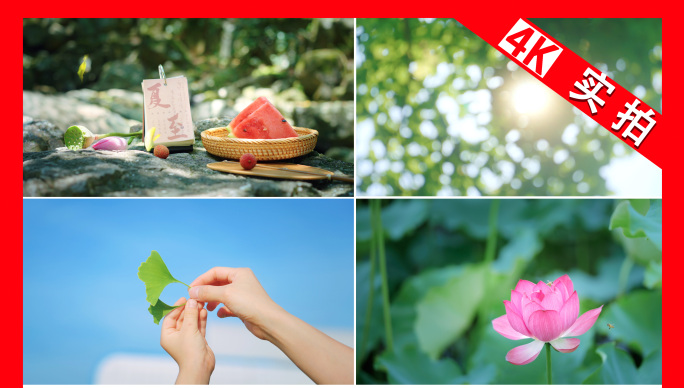 夏至 夏天 夏日 夏 夏天空镜 节气视频