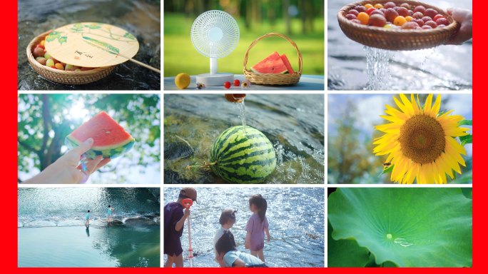 夏至 夏天 夏日 夏 夏天空镜 节气视频
