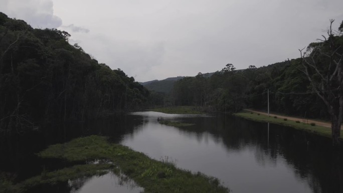 巴西雨林河无人机空中向前推进