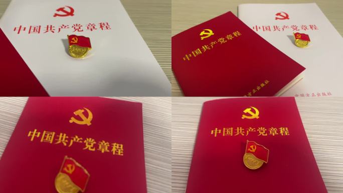 中国共产党党徽徽章，章程