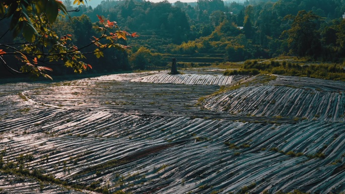 湘西风光
