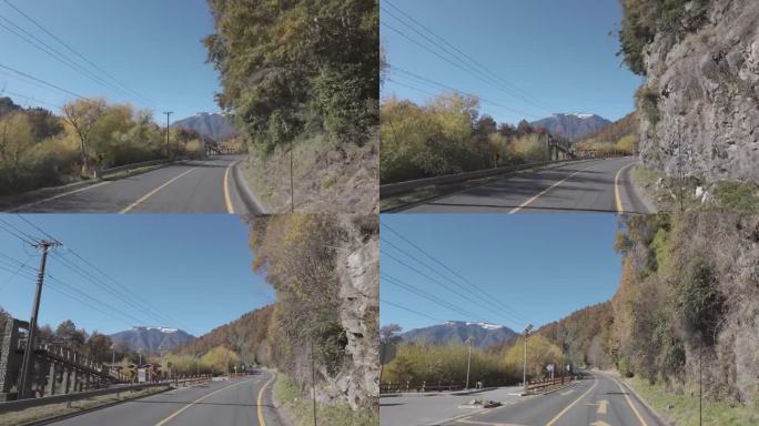秋季拉阿劳卡尼亚地区的道路