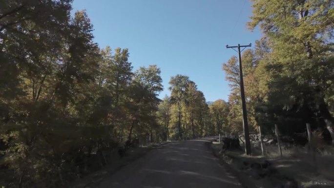秋天，开车穿过智利南部的乡村公路
