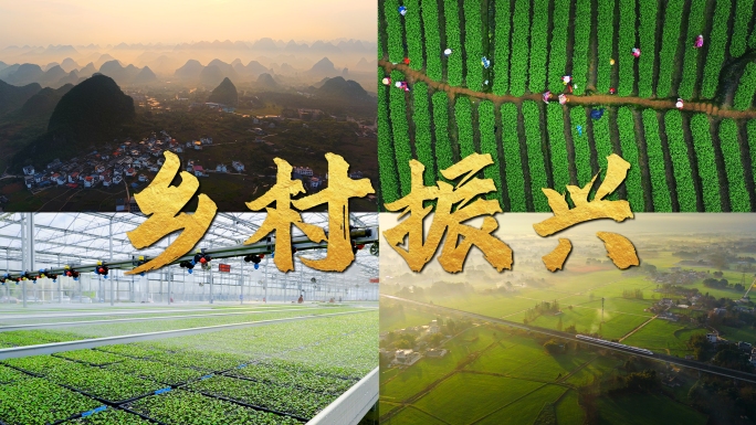 乡村振兴农业农民美丽乡村新农村田园风景