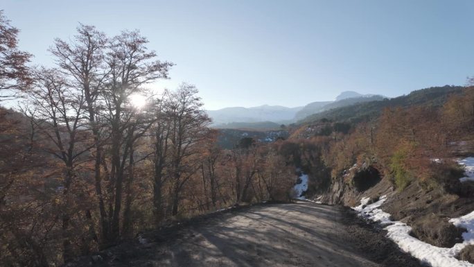 秋天，开车穿过智利南部的乡村公路