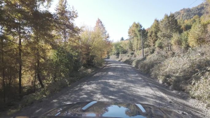 秋天，开车穿过智利南部的乡村公路