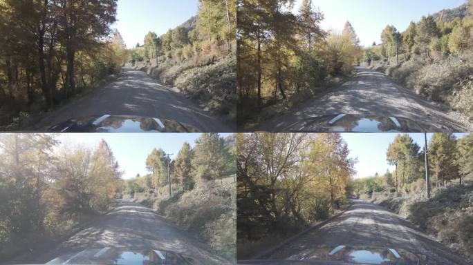 秋天，开车穿过智利南部的乡村公路