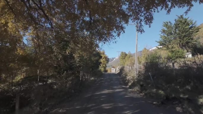 秋天，开车穿过智利南部的乡村公路