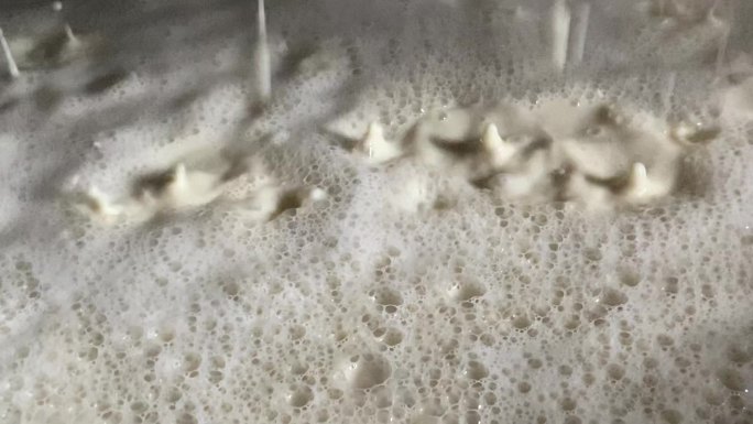 豆浆