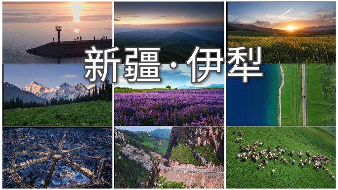 新疆伊犁自然风景草原雪山森林花海旅游合集