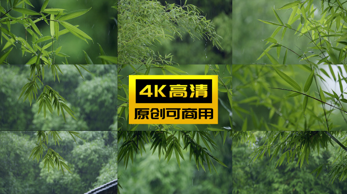 竹林下雨竹叶雨水清新意境
