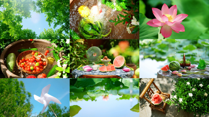 夏至 夏至节气 西瓜 荷花 知了蝉