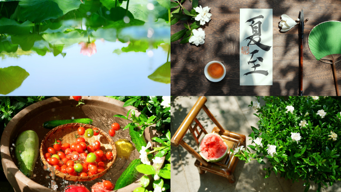 夏至 夏至节气 西瓜 风扇 荷花 蝉知了