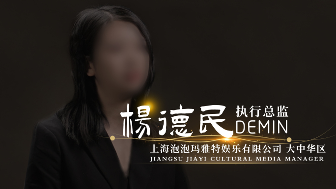 简洁时尚人名姓名条特效