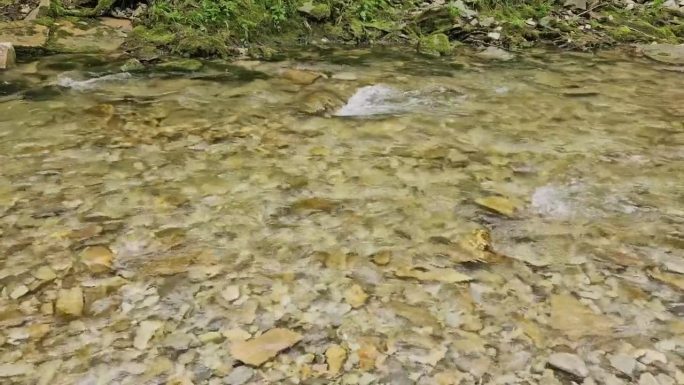 山间河流穿过森林，春天的阳光洒落。